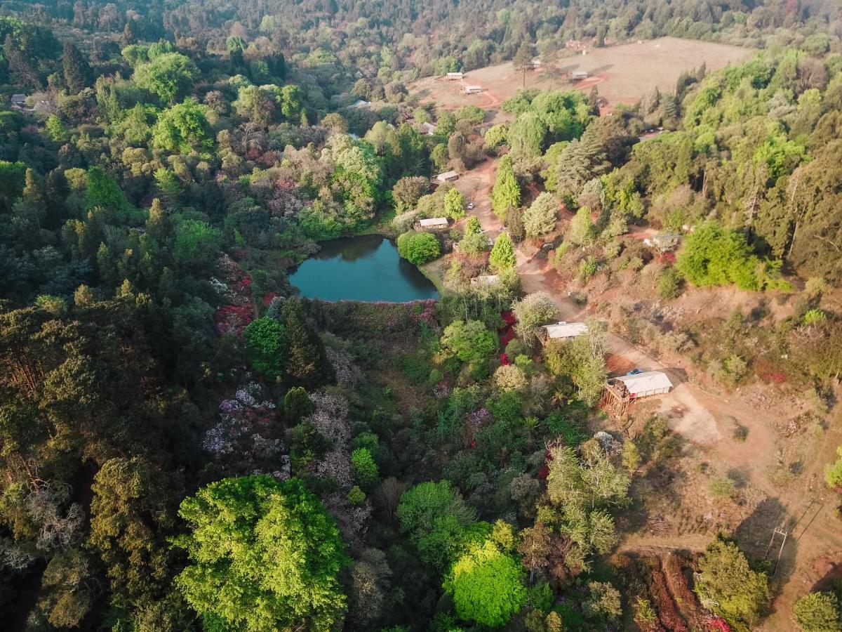 Africamps Magoebaskloof Villa Eksteriør bilde