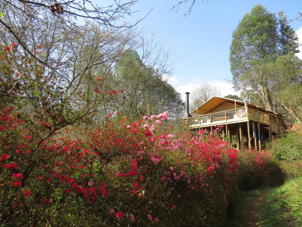 Africamps Magoebaskloof Villa Eksteriør bilde