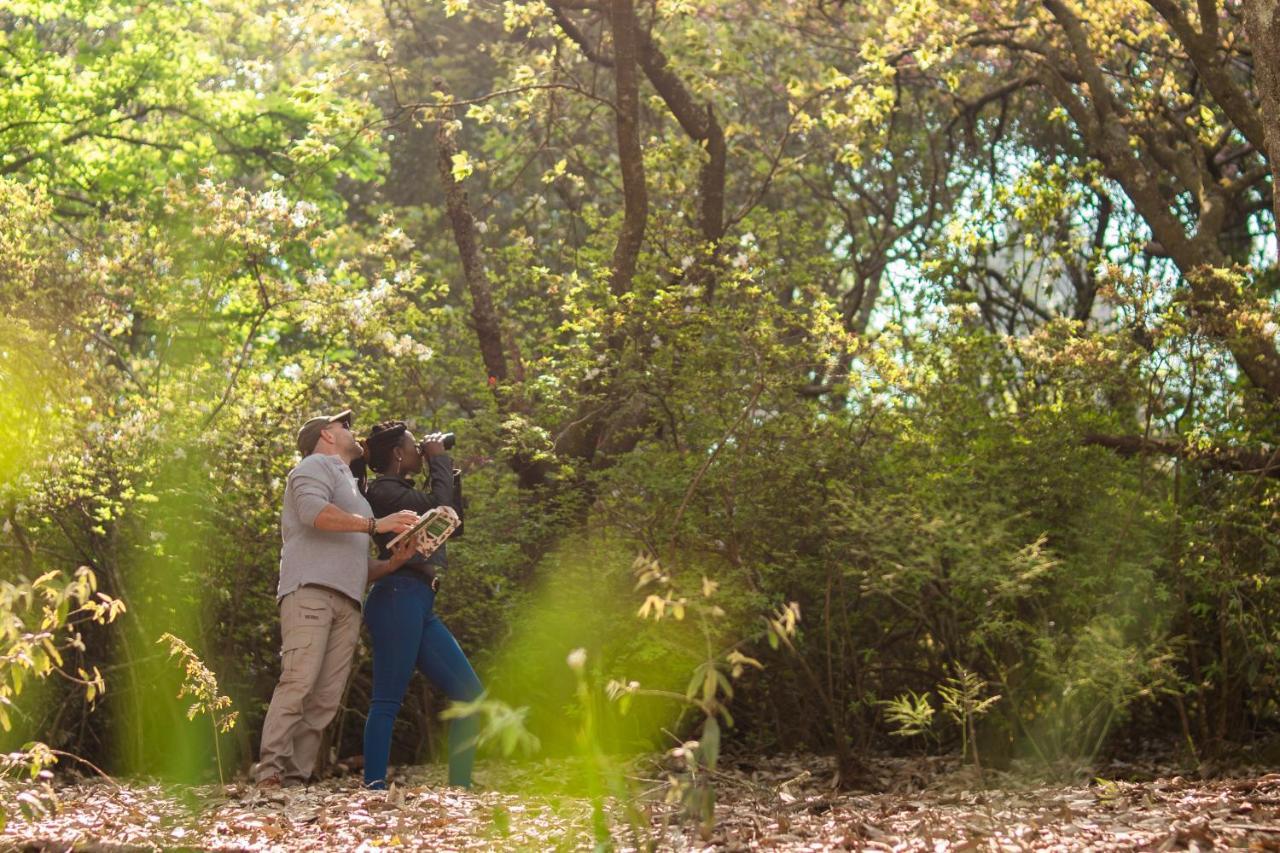 Africamps Magoebaskloof Villa Eksteriør bilde