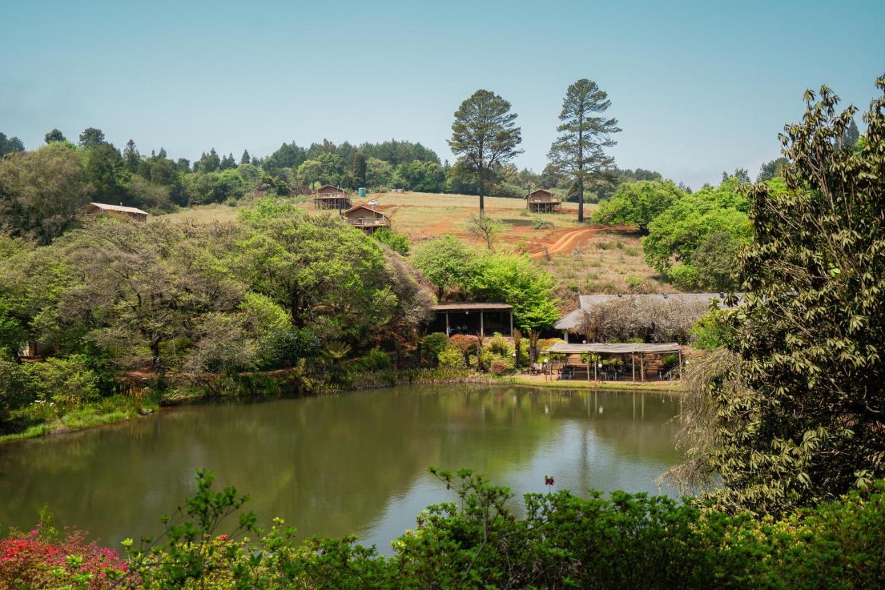 Africamps Magoebaskloof Villa Eksteriør bilde